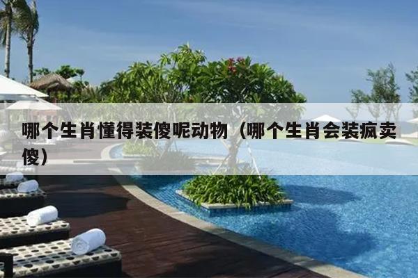 哪个生肖懂得装傻呢动物（哪个生肖会装疯卖傻）