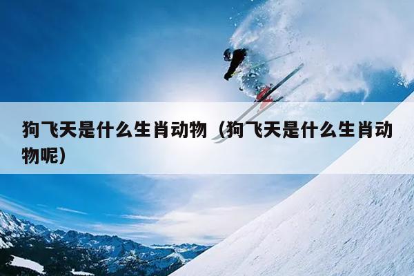 狗飞天是什么生肖动物（狗飞天是什么生肖动物呢）