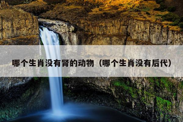 哪个生肖没有肾的动物（哪个生肖没有后代）