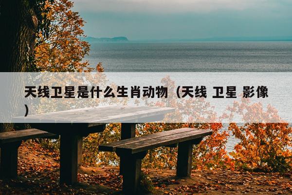 天线卫星是什么生肖动物（天线 卫星 影像）
