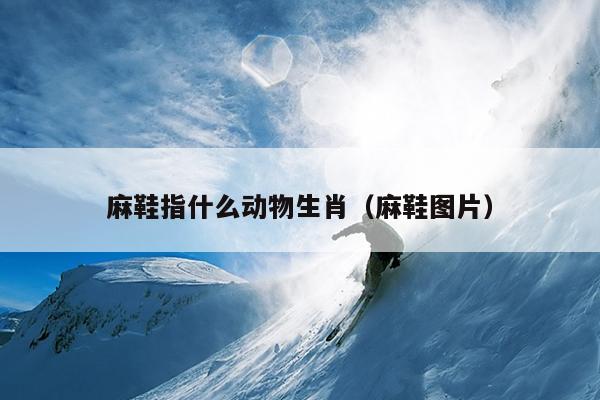 麻鞋指什么动物生肖（麻鞋图片）