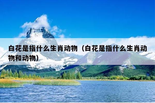 白花是指什么生肖动物（白花是指什么生肖动物和动物）