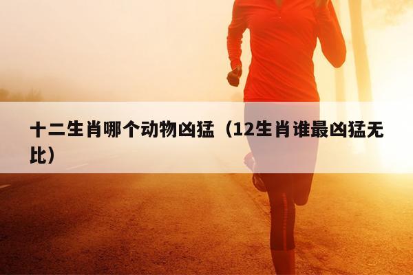 十二生肖哪个动物凶猛（12生肖谁最凶猛无比）