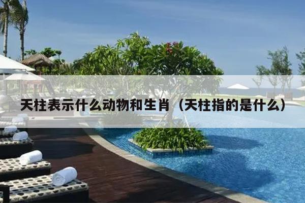 天柱表示什么动物和生肖（天柱指的是什么）