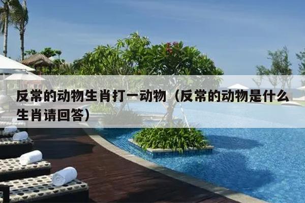 反常的动物生肖打一动物（反常的动物是什么生肖请回答）