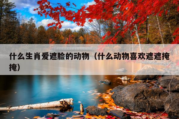 什么生肖爱遮脸的动物（什么动物喜欢遮遮掩掩）