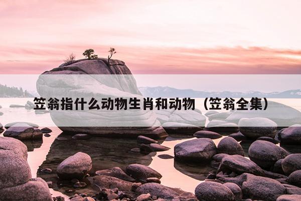 笠翁指什么动物生肖和动物（笠翁全集）