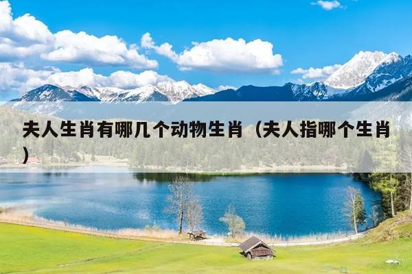 夫人生肖有哪几个动物生肖（夫人指哪个生肖）
