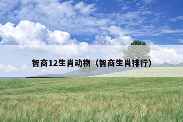 智商12生肖动物（智商生肖排行）