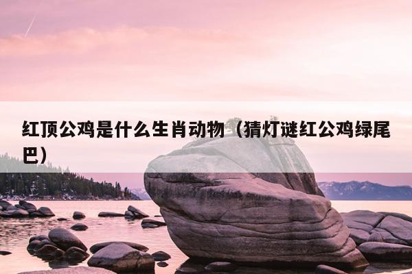 红顶公鸡是什么生肖动物（猜灯谜红公鸡绿尾巴）