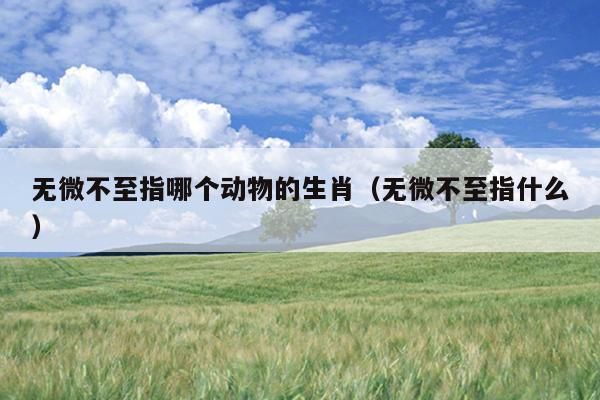 无微不至指哪个动物的生肖（无微不至指什么）