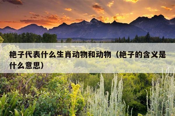 艳子代表什么生肖动物和动物（艳子的含义是什么意思）