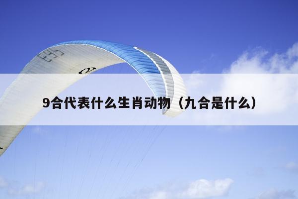 9合代表什么生肖动物（九合是什么）