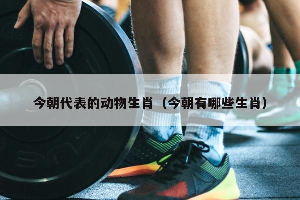 今朝代表的动物生肖（今朝有哪些生肖）