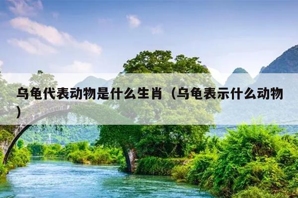 乌龟代表动物是什么生肖（乌龟表示什么动物）