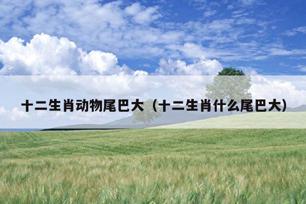 十二生肖动物尾巴大（十二生肖什么尾巴大）