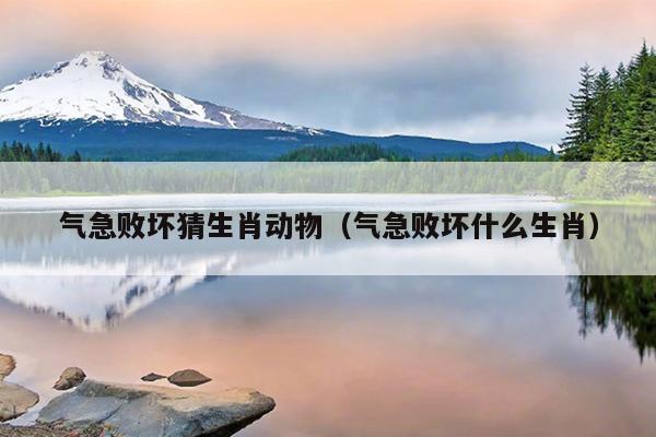 气急败坏猜生肖动物（气急败坏什么生肖）