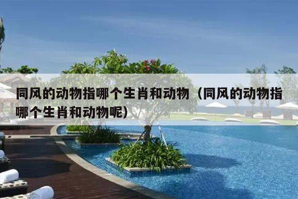 同风的动物指哪个生肖和动物（同风的动物指哪个生肖和动物呢）