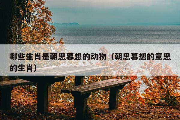 哪些生肖是朝思暮想的动物（朝思暮想的意思的生肖）