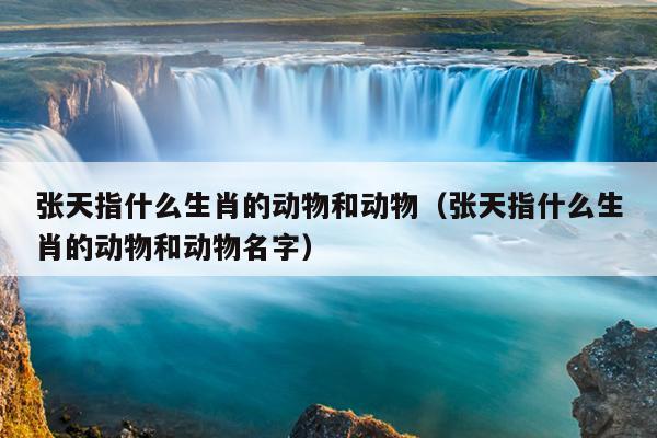 张天指什么生肖的动物和动物（张天指什么生肖的动物和动物名字）