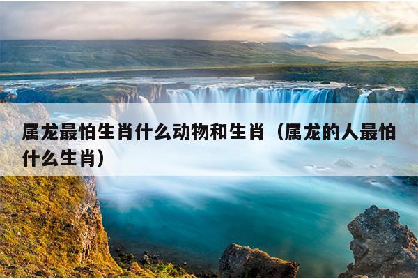属龙最怕生肖什么动物和生肖（属龙的人最怕什么生肖）