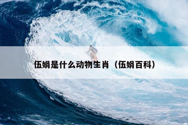 伍娟是什么动物生肖（伍娟百科）