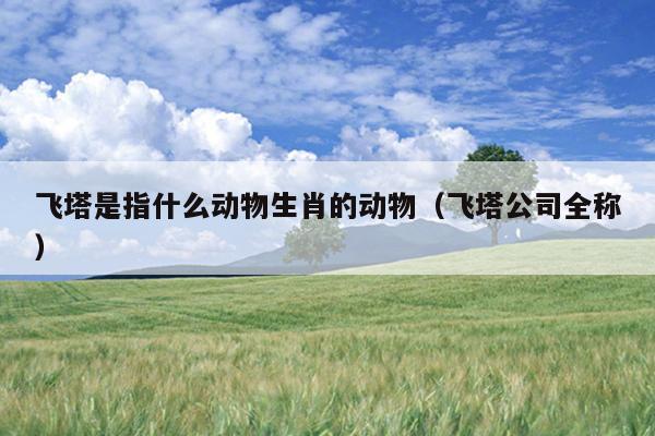 飞塔是指什么动物生肖的动物（飞塔公司全称）