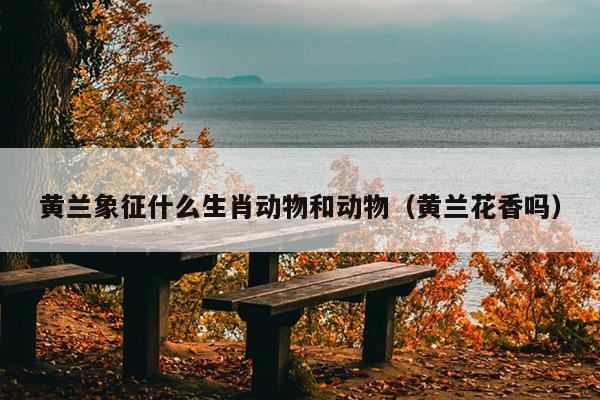 黄兰象征什么生肖动物和动物（黄兰花香吗）