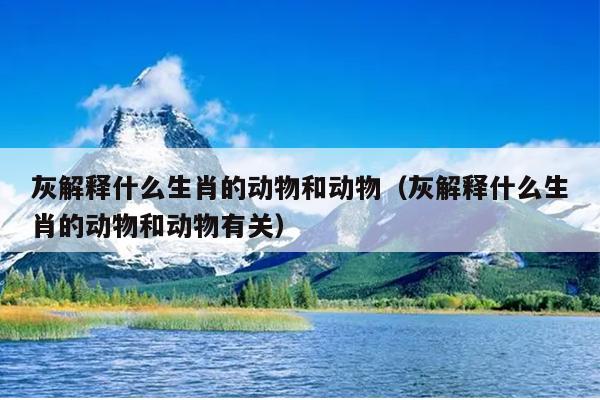 灰解释什么生肖的动物和动物（灰解释什么生肖的动物和动物有关）