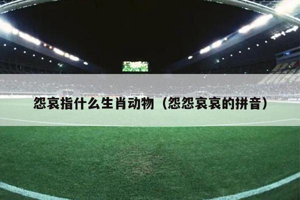 怨哀指什么生肖动物（怨怨哀哀的拼音）