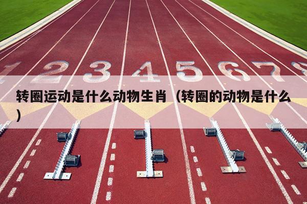 转圈运动是什么动物生肖（转圈的动物是什么）