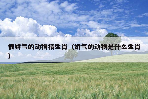 很娇气的动物猜生肖（娇气的动物是什么生肖）