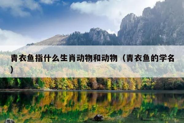 青衣鱼指什么生肖动物和动物（青衣鱼的学名）