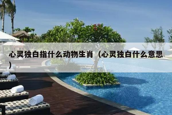 心灵独白指什么动物生肖（心灵独白什么意思）