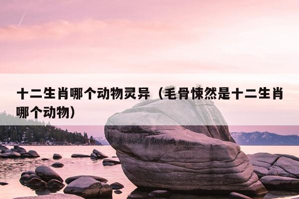 十二生肖哪个动物灵异（毛骨悚然是十二生肖哪个动物）