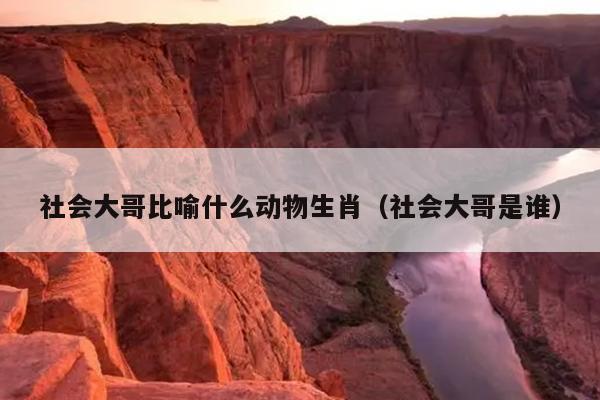社会大哥比喻什么动物生肖（社会大哥是谁）
