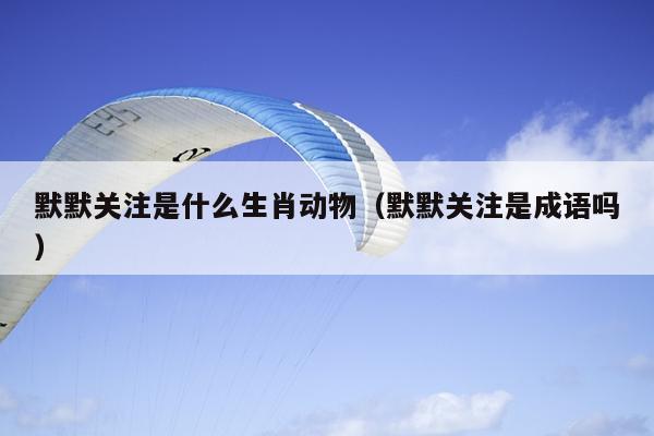 默默关注是什么生肖动物（默默关注是成语吗）