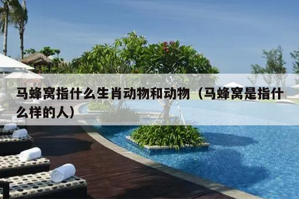 马蜂窝指什么生肖动物和动物（马蜂窝是指什么样的人）