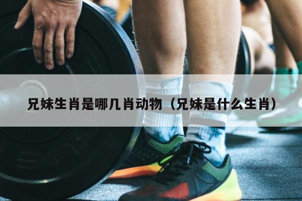 兄妹生肖是哪几肖动物（兄妹是什么生肖）