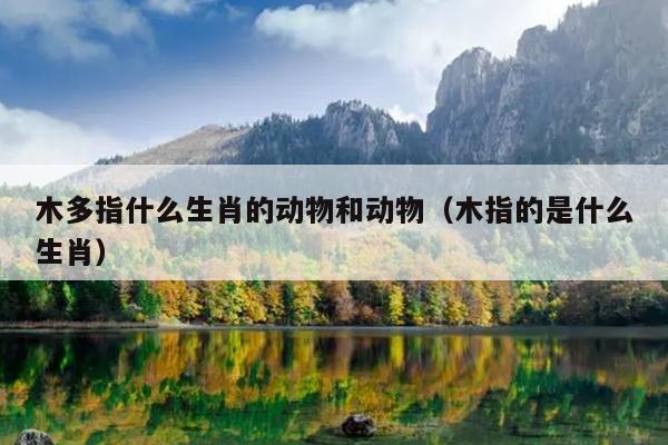 木多指什么生肖的动物和动物（木指的是什么生肖）