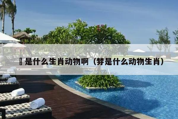 奜是什么生肖动物啊（棼是什么动物生肖）