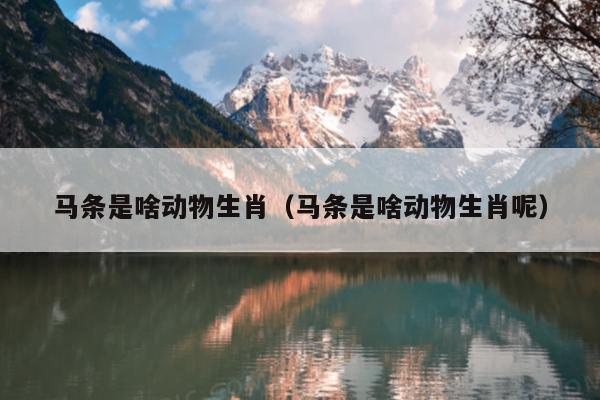 马条是啥动物生肖（马条是啥动物生肖呢）