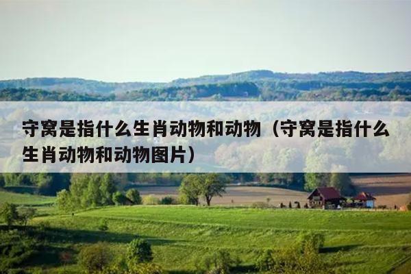 守窝是指什么生肖动物和动物（守窝是指什么生肖动物和动物图片）