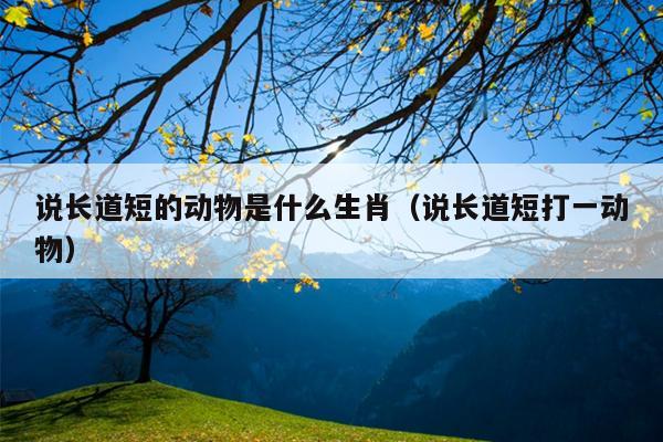 说长道短的动物是什么生肖（说长道短打一动物）