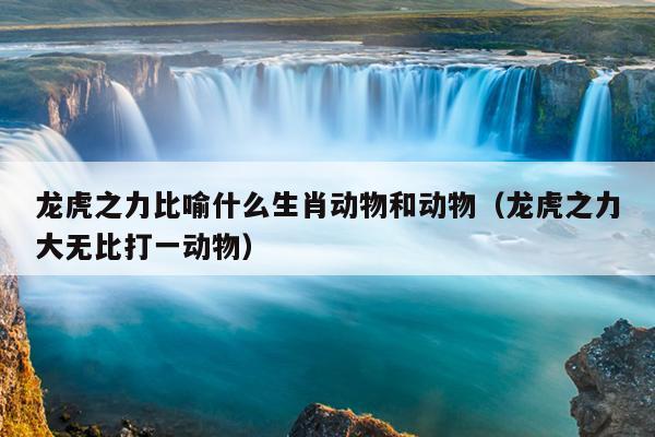龙虎之力比喻什么生肖动物和动物（龙虎之力大无比打一动物）