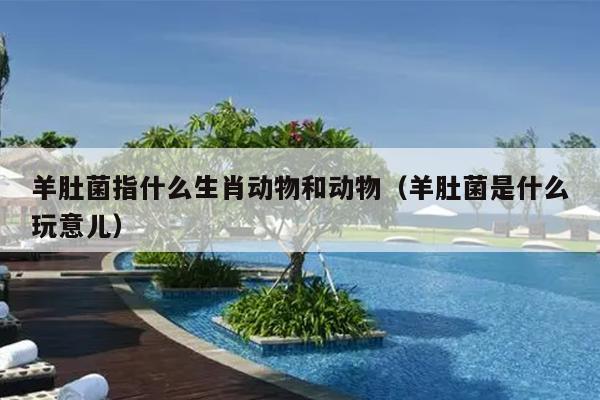 羊肚菌指什么生肖动物和动物（羊肚菌是什么玩意儿）