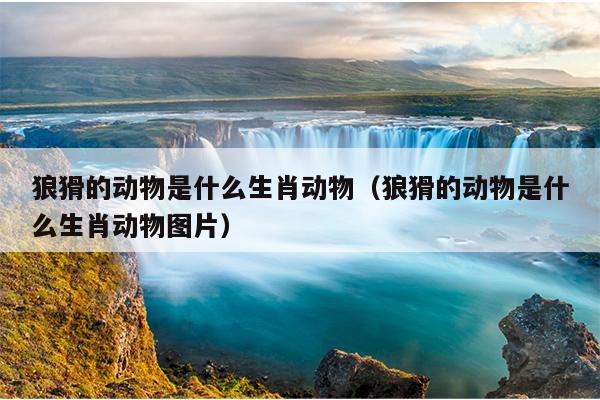 狼猾的动物是什么生肖动物（狼猾的动物是什么生肖动物图片）
