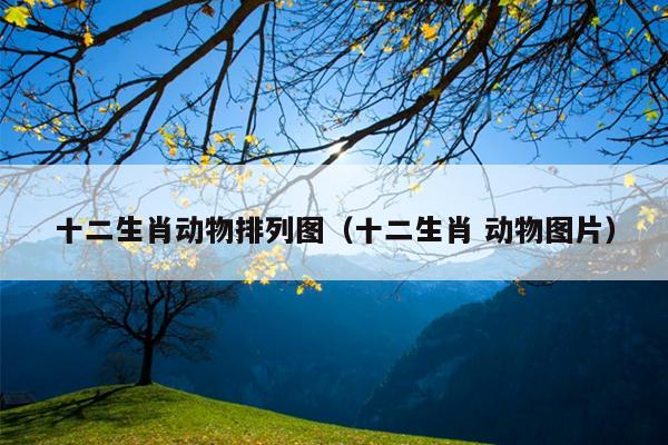 十二生肖动物排列图（十二生肖 动物图片）
