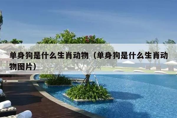 单身狗是什么生肖动物（单身狗是什么生肖动物图片）