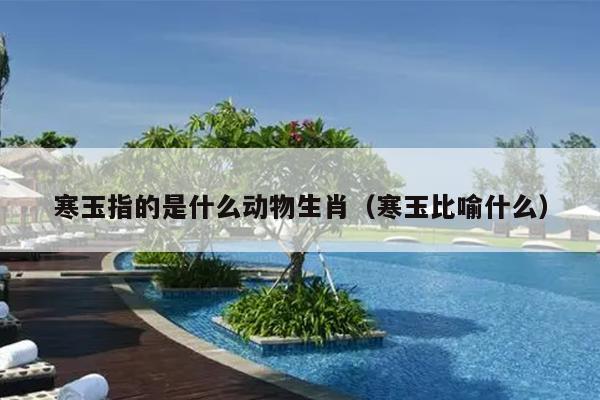 寒玉指的是什么动物生肖（寒玉比喻什么）